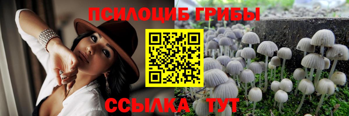 Псилоцибиновые грибы Psilocybe Ялта